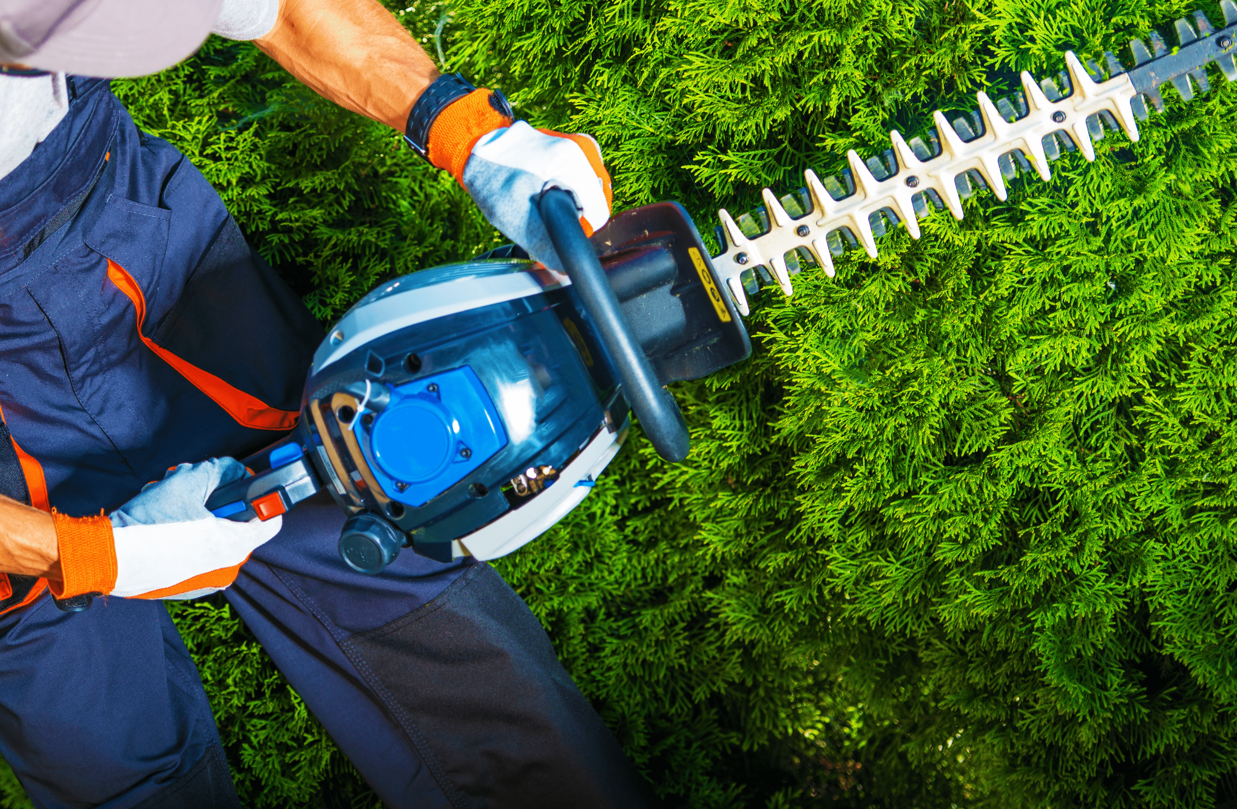 Fisher Way Lawn Care