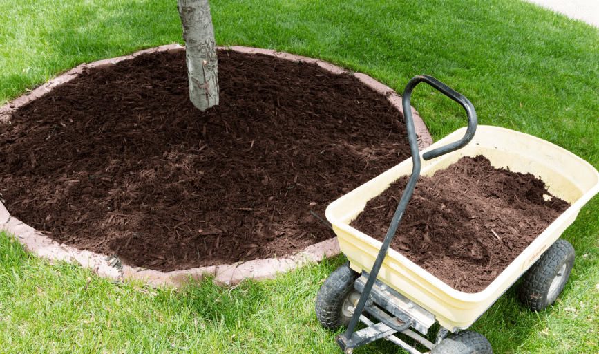 Fisher Way Lawn Care